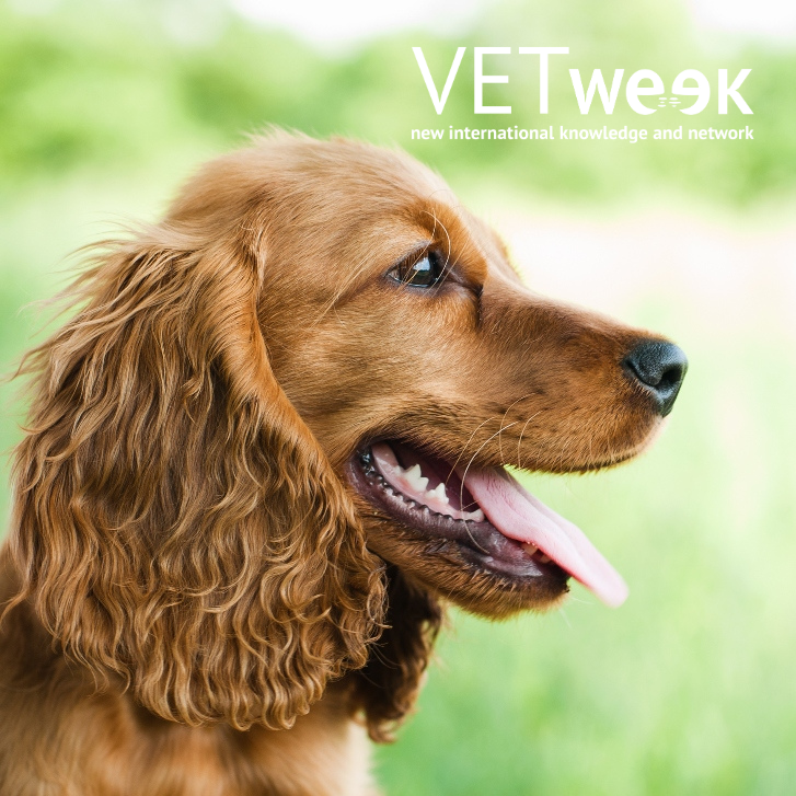 Design uden navn (14)